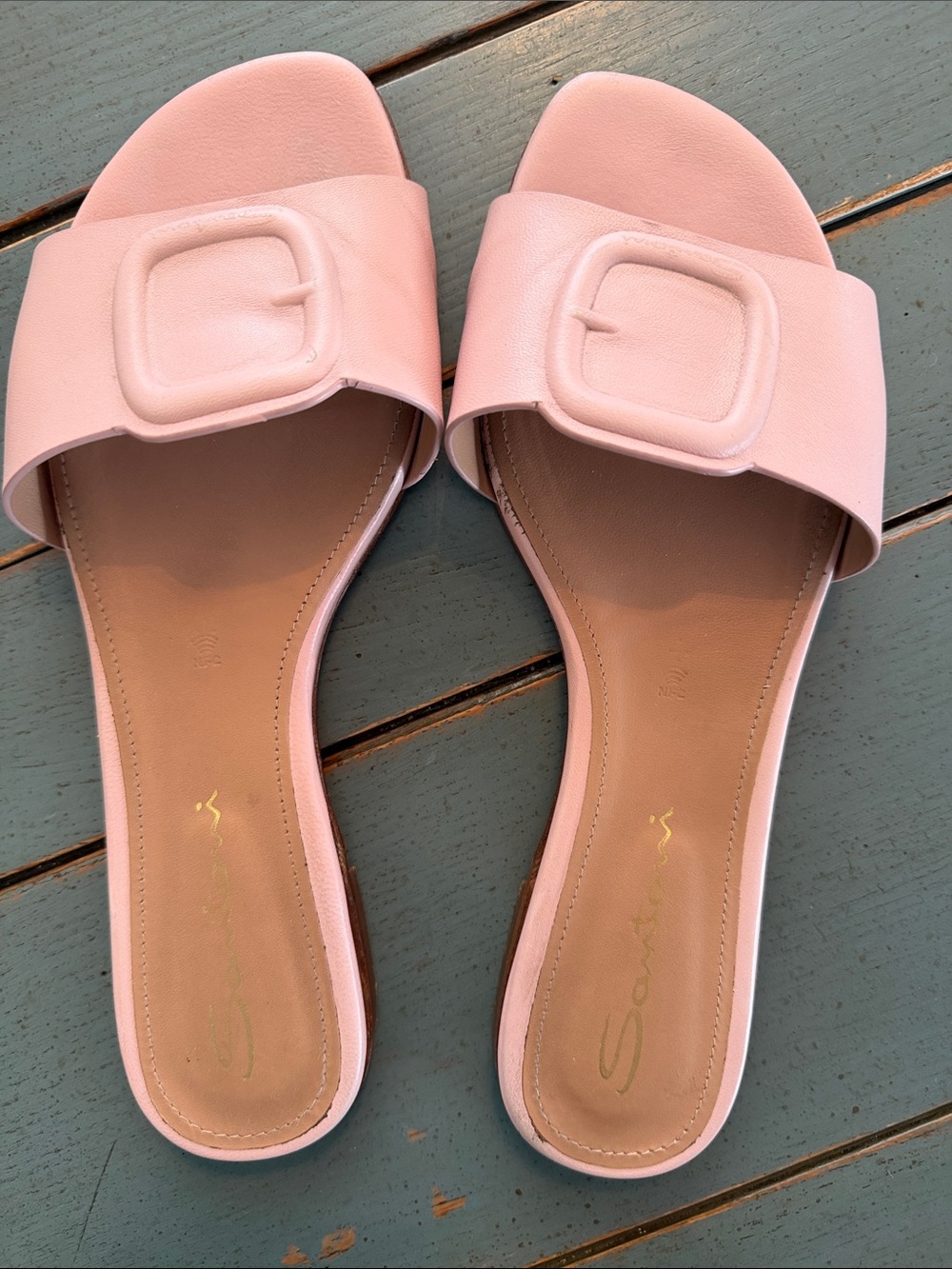 SARTO By Franco Sarto Blush Pink Buckle Slide Sandals
